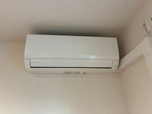 ラ・ポーズⅡ 0105号-11