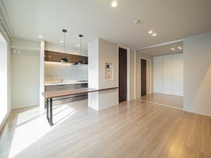 Ｌｉｇｈｔ　ｖｉｌｌａ　江坂 0301号-2