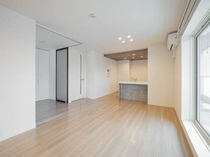 Ｌｉｇｈｔ　ｖｉｌｌａ　江坂 0305号-2