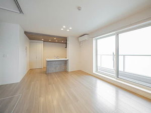 Ｌｉｇｈｔ　ｖｉｌｌａ　江坂 0305号-4