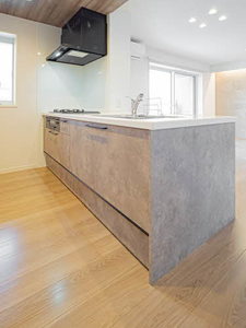 Ｌｉｇｈｔ　ｖｉｌｌａ　江坂 0305号-11