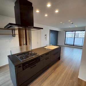 ＳｈａＭａｉｓｏｎ　ＶｅｎｔＣｏｌｌｉｎｅ 0305号-9