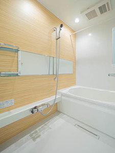 ローズ フラット 0203号-7