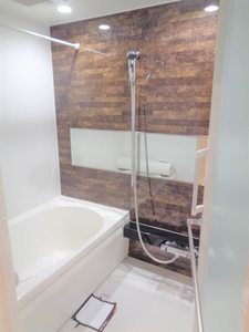 Ｓｈａ　Ｍａｉｓｏｎ　Ｏｒａｎｇｅ 0101号-7