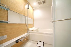 Ｓｈａ　Ｍａｉｓｏｎ　Ｏｒａｎｇｅ 0303号-5