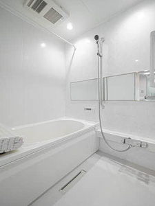 Ｓｔａｒ　Ｍ 0205号-7