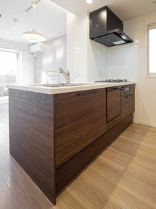 Ｓｔａｒ　Ｍ 0205号-8