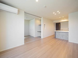 Ｓｈａｍａｉｓｏｎ　Ｓｔｅｌｌａ　Ｒｉｓａｉａ 0106号-2