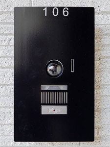 Ｓｈａｍａｉｓｏｎ　Ｓｔｅｌｌａ　Ｒｉｓａｉａ 0106号-4