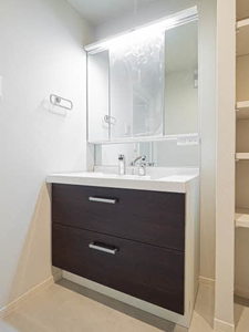 Ｓｈａｍａｉｓｏｎ　Ｓｔｅｌｌａ　Ｒｉｓａｉａ 0106号-7