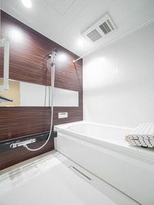 Ｓｈａｍａｉｓｏｎ　Ｓｔｅｌｌａ　Ｒｉｓａｉａ 0106号-8