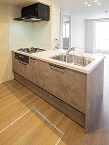 Ｓｈａｍａｉｓｏｎ　Ｓｔｅｌｌａ　Ｒｉｓａｉａ 0106号-9