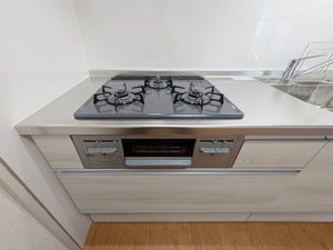 パークサイド伊藤 0302号-13