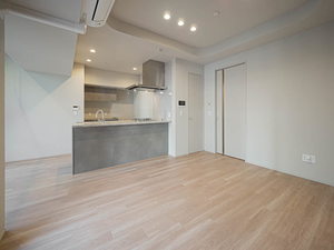 ＴＨＥ　ＷＥＡＶＥ　ＭＩＮＡＭＩ　ＳＥＭＢＡ 0303号-2