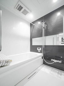 ｓｈａｍａｉｓｏｎ　栄蔵 0301号-6