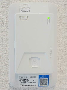 ｓｈａｍａｉｓｏｎ　栄蔵 0301号-11