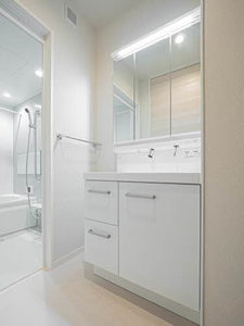 ＳｈａＭａｉｓｏｎ　Ｔ．ＳⅡ 0103号-6