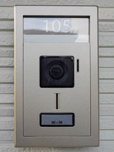 ＳｈａＭａｉｓｏｎ　Ｔ．ＳⅡ 0105号-3