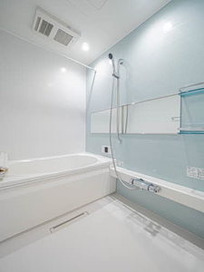 ＳｈａＭａｉｓｏｎ　Ｔ．ＳⅡ 0105号-8