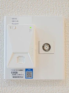 ＳｈａＭａｉｓｏｎ　Ｔ．ＳⅡ 0105号-12