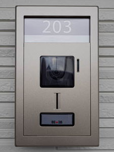 ＳｈａＭａｉｓｏｎ　Ｔ．ＳⅡ 0203号-3