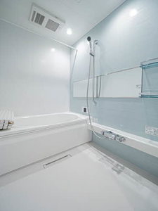 ＳｈａＭａｉｓｏｎ　Ｔ．ＳⅡ 0203号-7