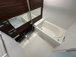 ＳｈａＭａｉｓｏｎ　Ｇｒａｓｓ 0201号-9