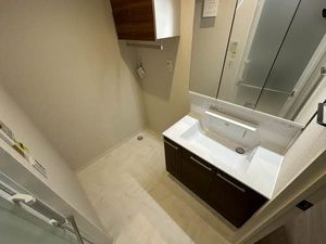 ＳｈａＭａｉｓｏｎ　Ｇｒａｓｓ 0201号-10