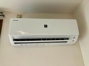 ワイズヴィラ B102号-11