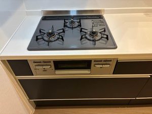 Ｌｕｍｉｔоｉｌｅ　久宝寺 0305号-10