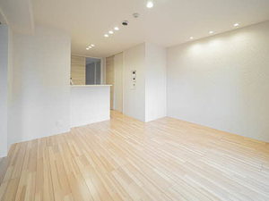 Ｓｈａ　Ｍａｉｓｏｎ　Ｍｏｎｓ 0201号-2