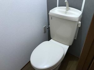 ハイム向日葵 0101号-3