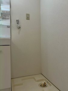 ヴェルドミールAO 0106号-8