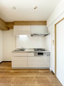 フェニーチェⅡ 0602号-6
