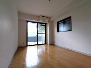 メゾン・ド・ビオラ 0101号-4