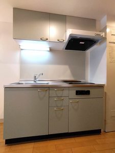 メゾン・ド・ビオラ 0101号-6