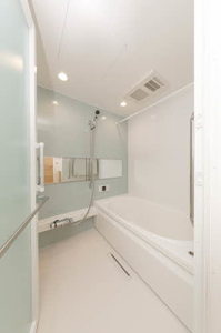 ＳｈａＭａｉｓｏｎ　ｐｏｎｏ 0301号-4