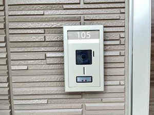 ベル　ディモーラ 0105号-2