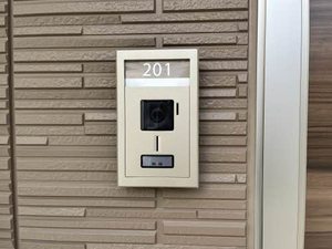 ベル ディモーラ 0201号-2