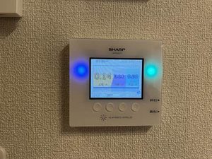 ベル ディモーラ 0201号-7