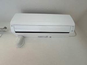 Ｐａｌａｉｓ　Ｆｌｅｕｒ 0102号-11