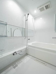 メゾン・ド・クレール 0102号-5