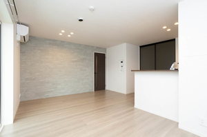 ＮＴ　Ｍａｉｓｏｎ　Ⅲ 0101号-2