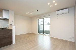 ＮＴ　Ｍａｉｓｏｎ　Ⅲ 0101号-9