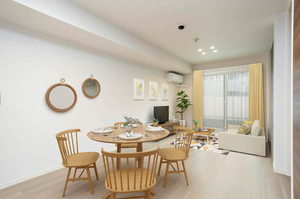 ＮＴ　Ｍａｉｓｏｎ　Ⅲ 0102号-2