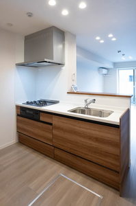 ＮＴ　Ｍａｉｓｏｎ　Ⅲ 0102号-3