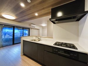BioNa 0901号-3