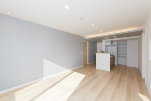 Ａｖａｎｃｅ（アヴァンセ） 0305号-3