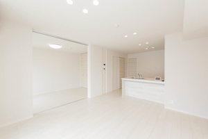 Dreamio Ⅱ 0203号-2