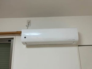 シャーメゾンＹ・Ｍ 0105号-7